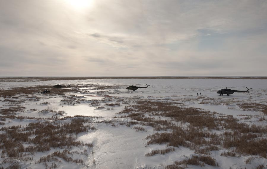 Stark Landscape on the Ground