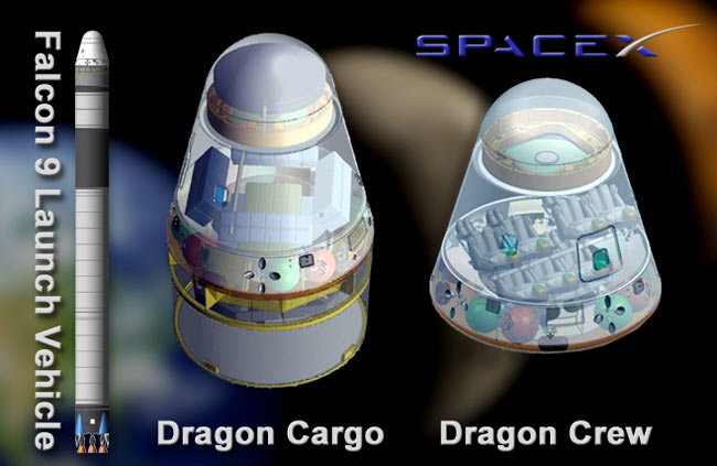 Dragon Crew and Cargo Capsules