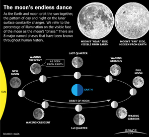 See the moon phases, and the difference between a waxing and waning crescent or gibbous moon, in this Space.com infographic about the lunar cycle each month. <a href="http://www.space.com/62-earths-moon-phases-monthly-lunar-cycles-infographic.html">See the full infographic</a>.