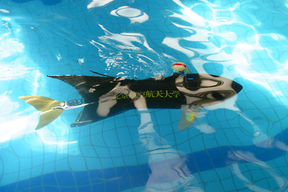 Robotic Fish From China