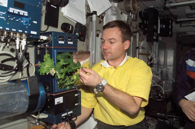 Russia's Space Plant Tests