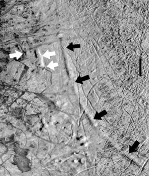 Jupiter's Moon Scarred by Wandering Poles