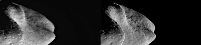 Eros: In Real and Imagined