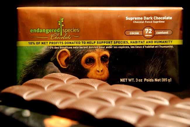 Astronaut Dessert Redefines 'Space Chimps'
