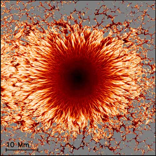 Supercomputers Give Inside Look at Sunspots
