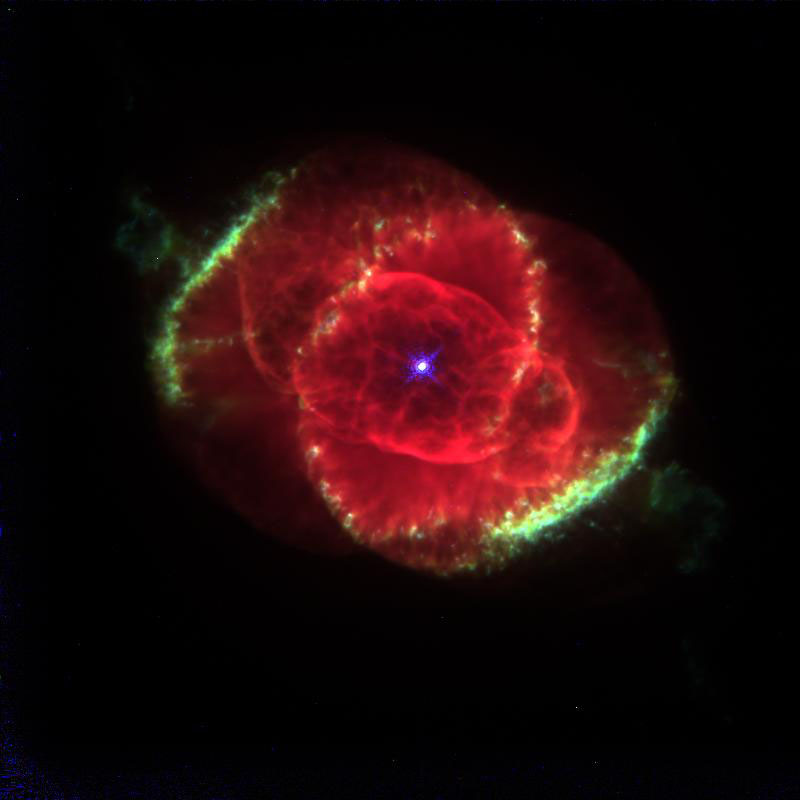 The Cat's Eye Sees All