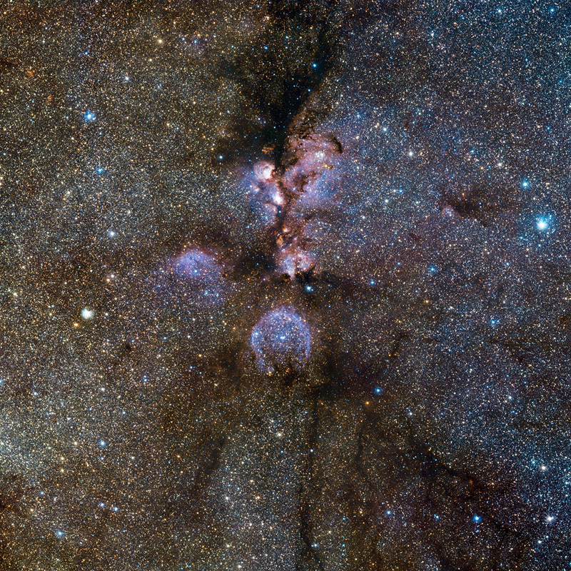 Cat's Paw Nebula: Could It Be a Black Cat?