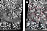 Landforms north of Mars' Olympus Mons volcano may be evidence of recent tectonic activity. Left: uninterpreted image, from NASA's Mars Odyssey spacecraft. Right: interpreted image.