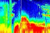Ganymede sound and signal illustration