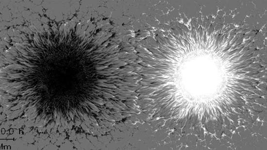 Sunspots in 3-D