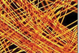 The PBI plant, located in Rock Hill, South Carolina, produced its first commercial bale of PBI fiber on March 18, 1983.