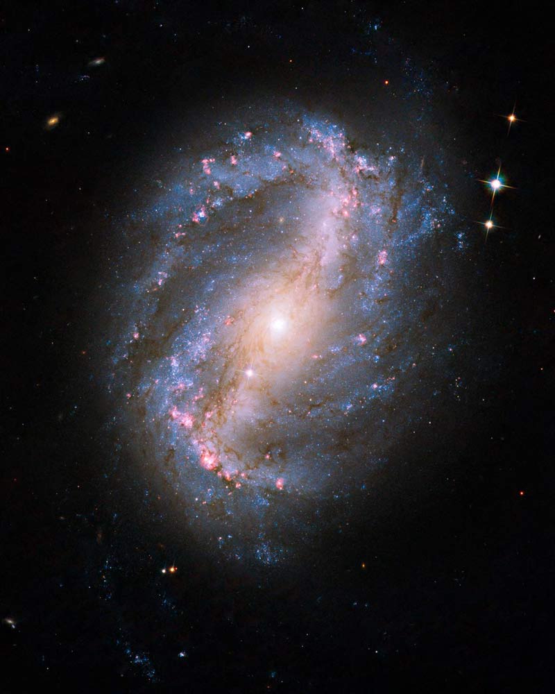 When Good Galaxies Go Barred