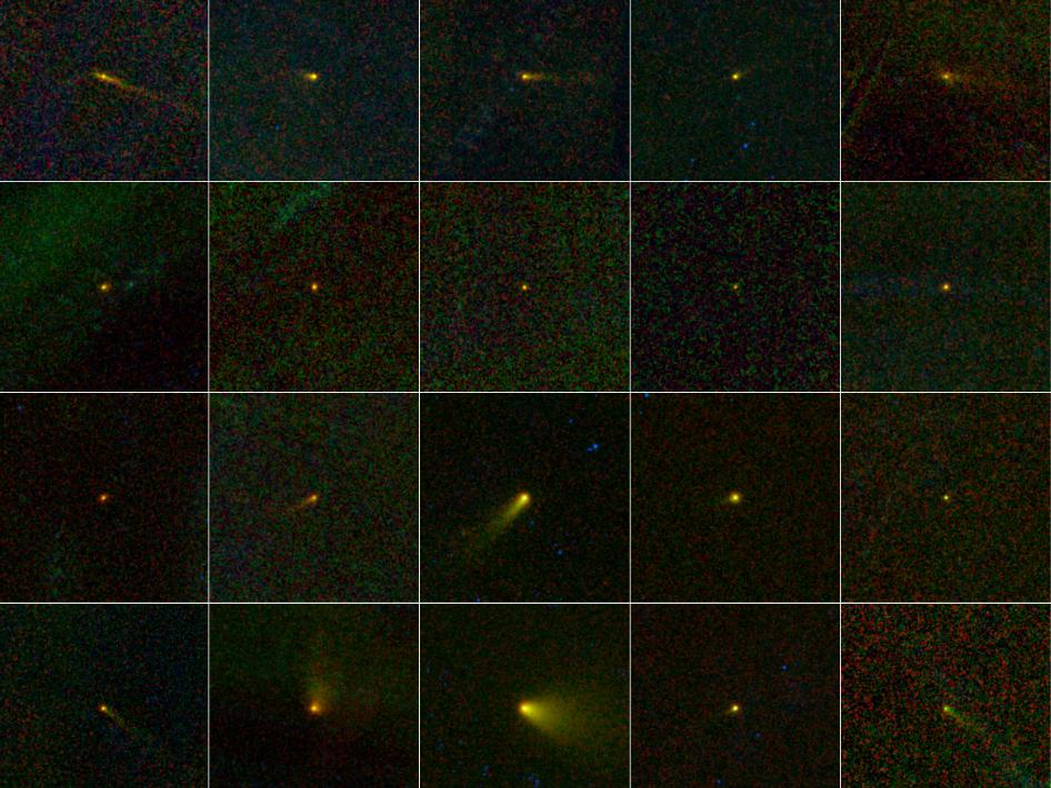 WISE telescope asteroid census