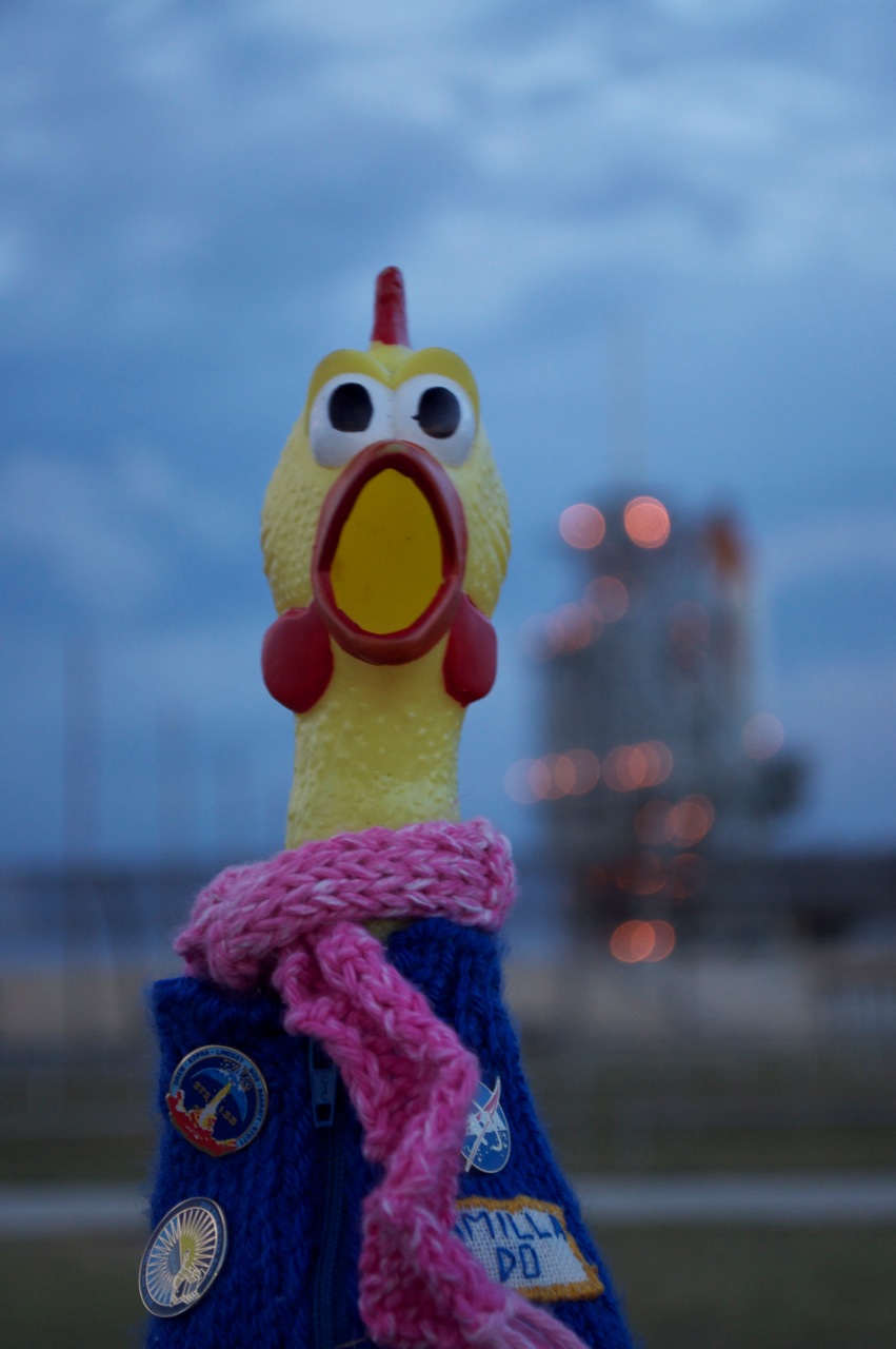 Do the Funky Chicken