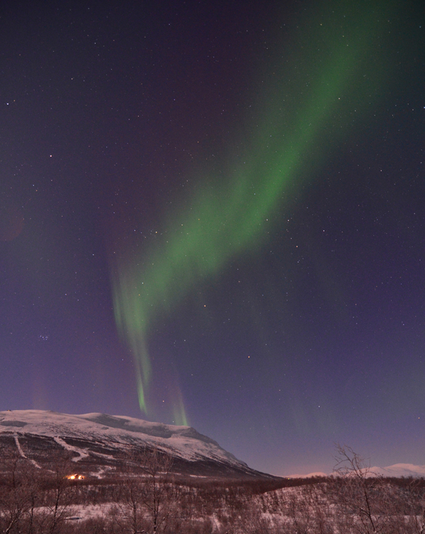Aurora in the Park
