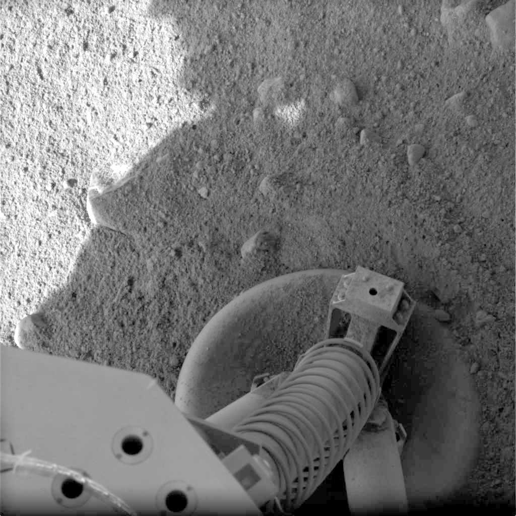Feet Back on the Ground
