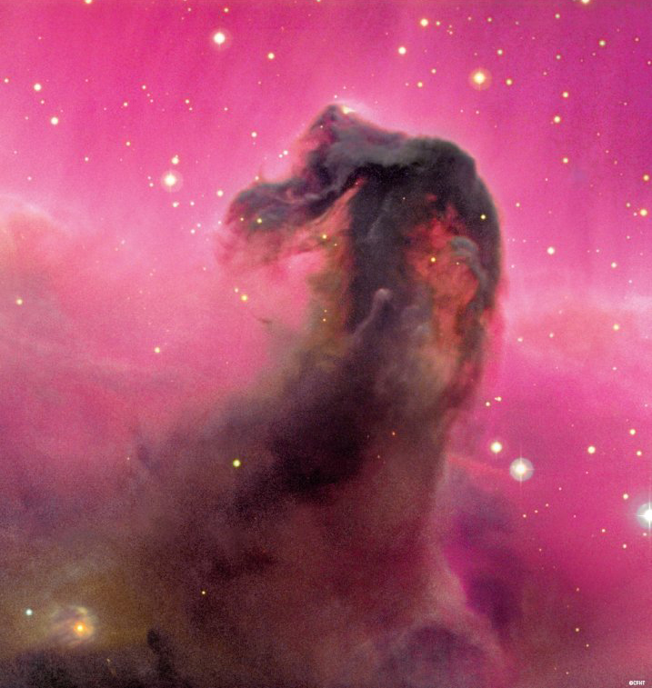 Horse in the Sky