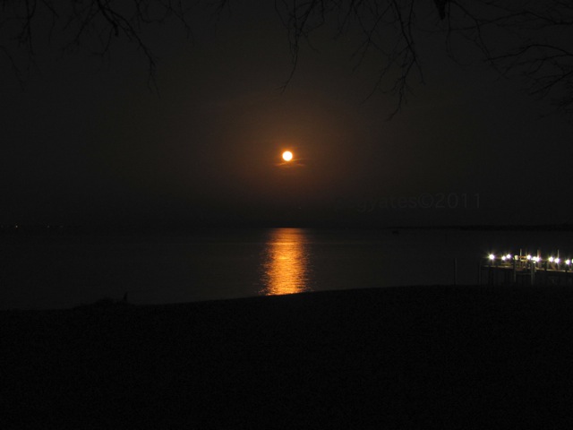 Moon Over Potomac