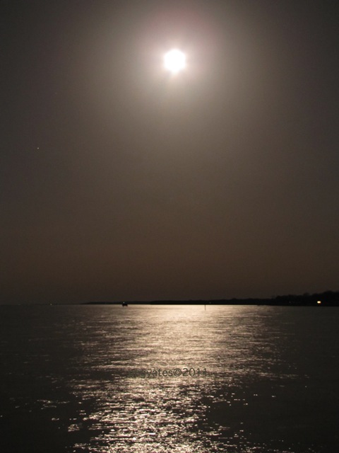 Virginia Moon Over Potomac