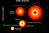 Stages in the evolution of a star like the sun. The sun is currently fusing hydrogen into helium in its core (lower left). In later stages, when it becomes a red giant, the star will fuse hydrogen in a shell around the helium core (2nd and 3rd figures). Finally, the red giant will begin to fuse helium into carbon in its core (4th figure).