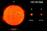 Artist's impression comparing the approximate sizes and colors of the stars in the triple system HD 181068.