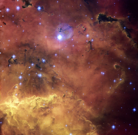 Image of the Day Archives