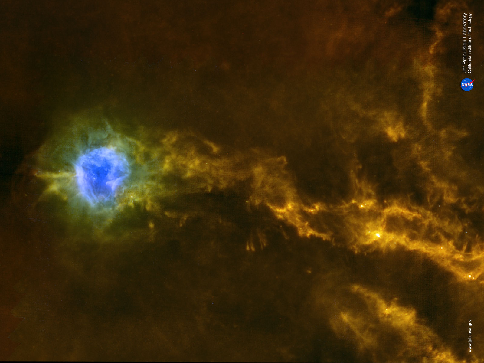 Dense filaments of gas in the IC5146 interstellar cloud, in an infrared photo from ESA’s Herschel space observatory.