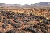 Janet Siefert walks in a field of fossilized stromatolites, evidence of an ancient lagoon.