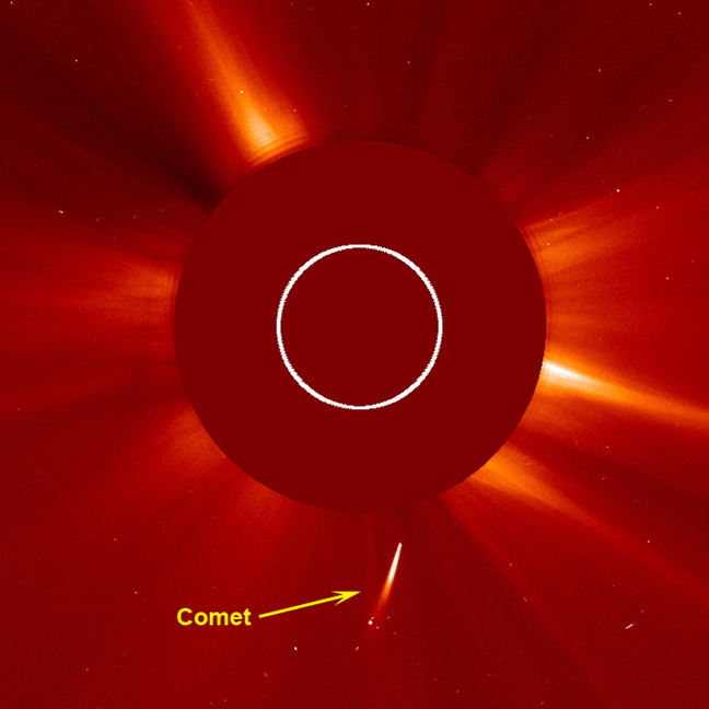 Comet Dives Into the Sun