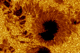 This large field-of-view image of sunspots in Active Region 10030 was observed on July 15, 2002.  Researchers colored the image yellow for aesthetic reasons.