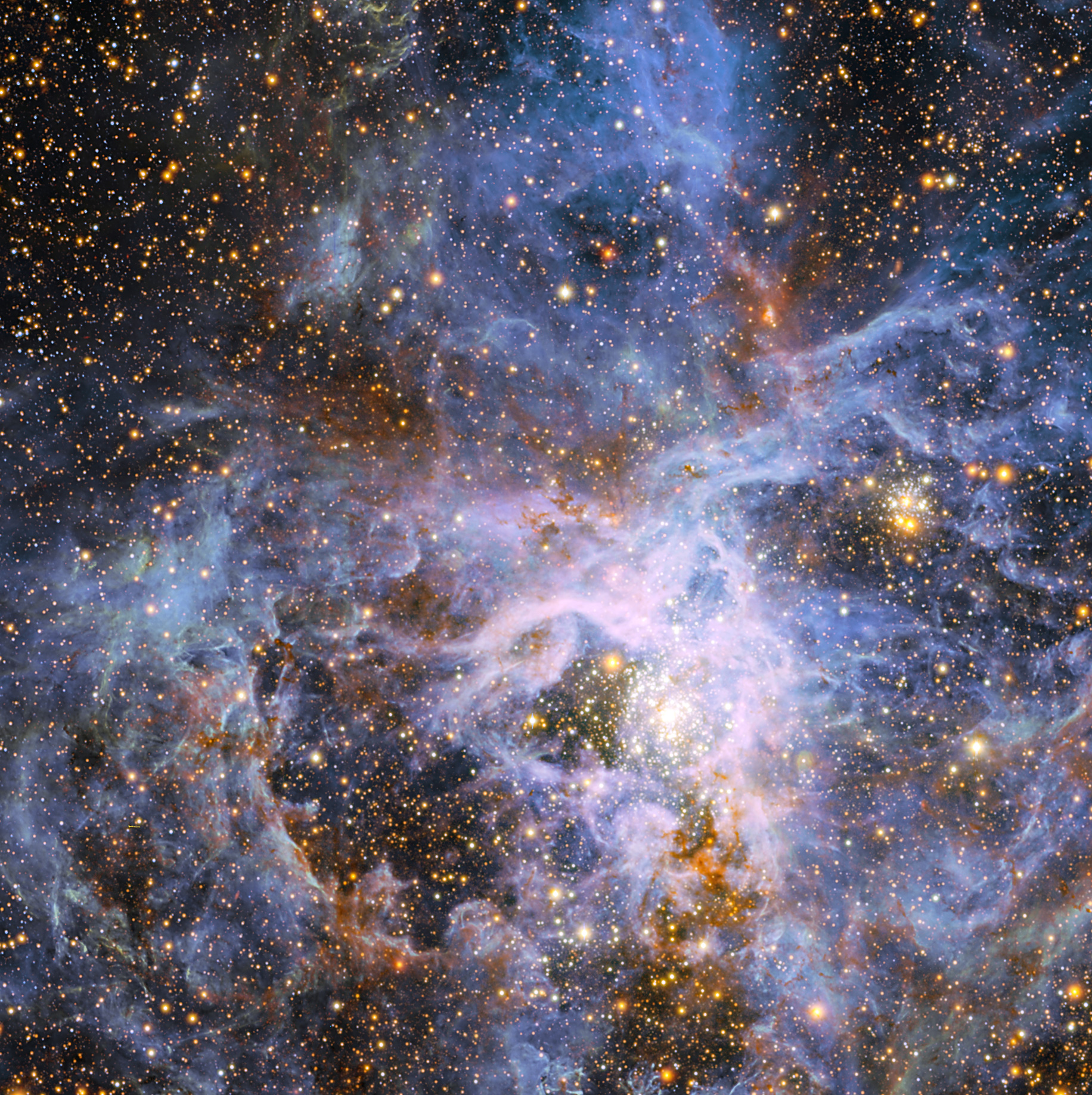 Space Tarantula!