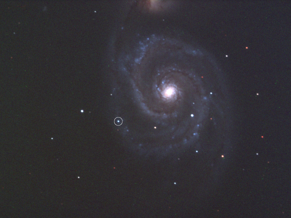 New Supernova in Galaxy M51