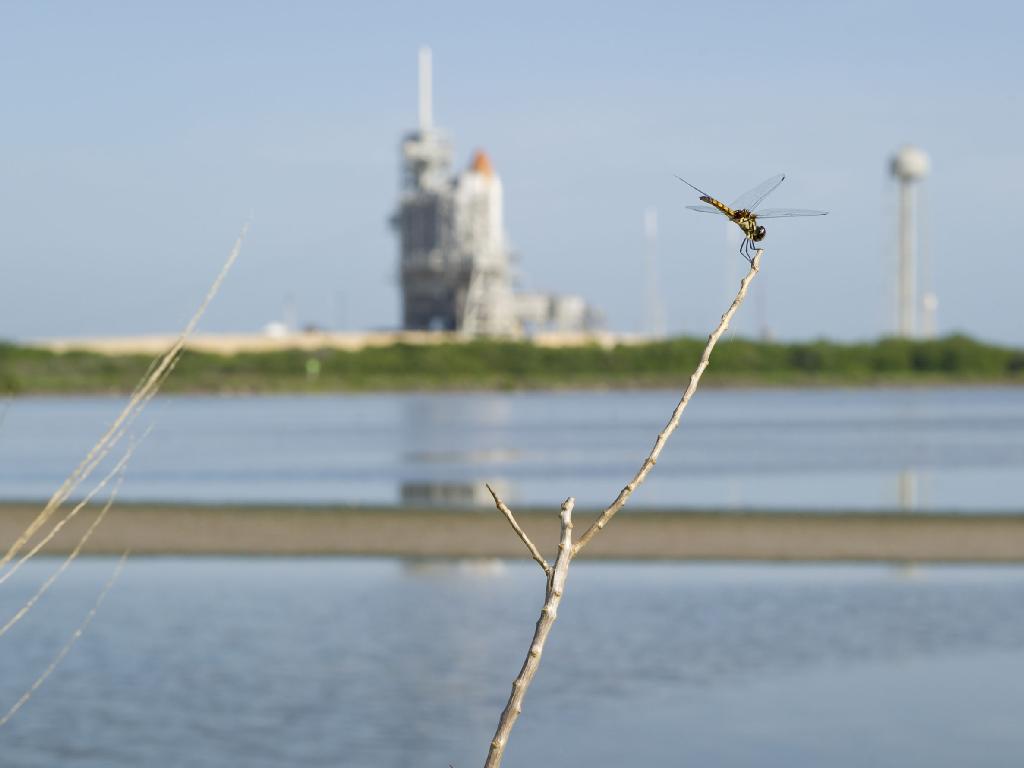 Dragonfly and Atlantis