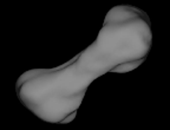 Kleopatra: A Metal Dog Bone with Moons!