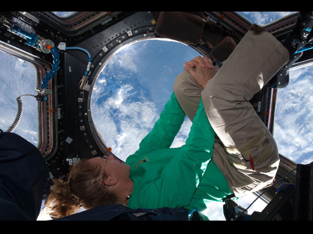 Looking out the Cupola