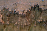 This image combining orbital imagery with 3-D modeling shows flows that appear in spring and summer on a slope inside Mars' Newton crater.