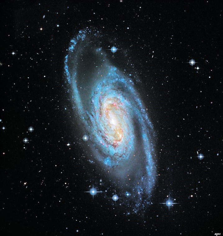 Barred Spiral Galaxy NGC 2903