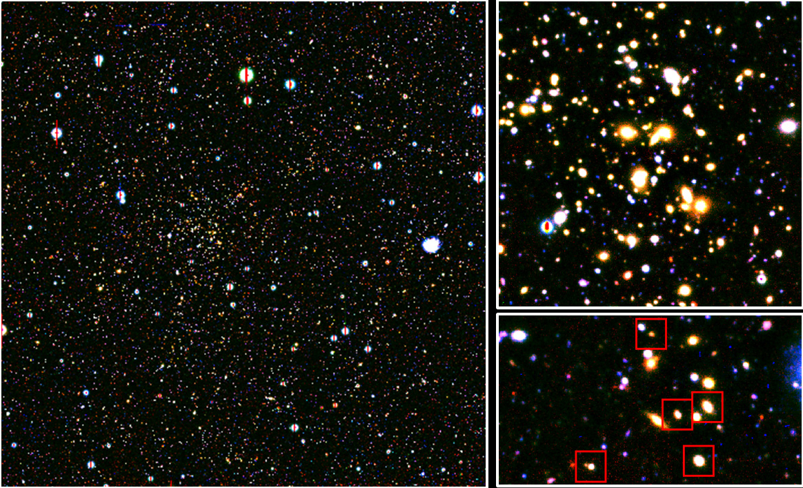 Red-burning Galaxies Give You So Much More