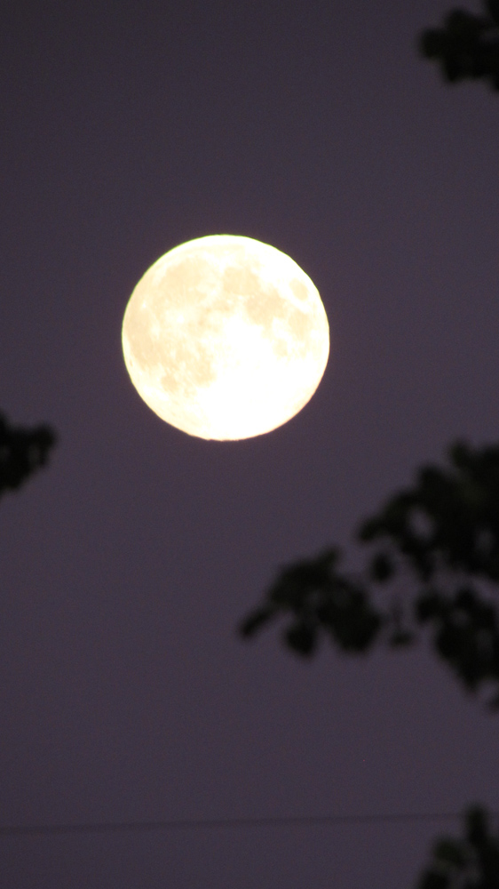 Harvest Moon Over Alberta