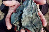 In 1997, Lottie Williams of Tulsa, Oklahoma reported that she was struck on the shoulder by falling debris while walking. It was later confirmed to be part of the fuel tank of a Delta II rocket. Additional debris from the Delta second stage reentry were recovered several hundred miles away in Texas.