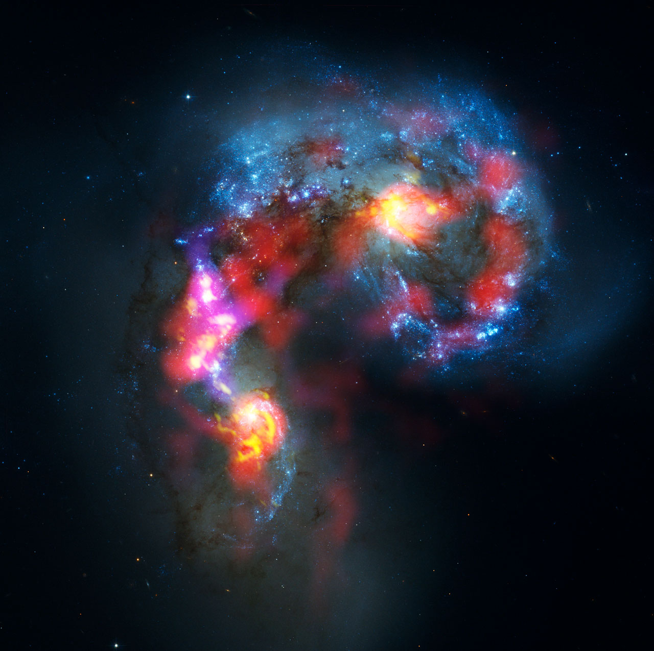 ALMA and Hubble Telescope Combined Image