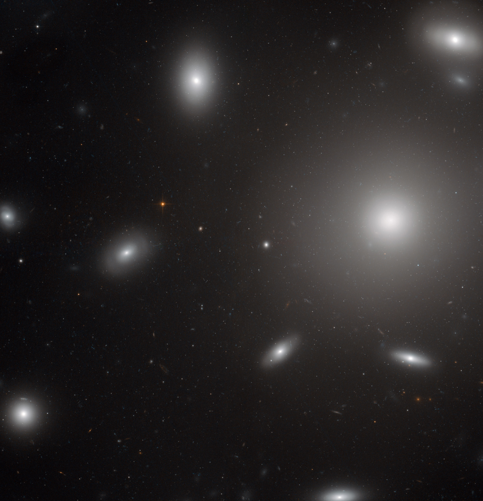 Stars in My Pocket Like Grains of Sand