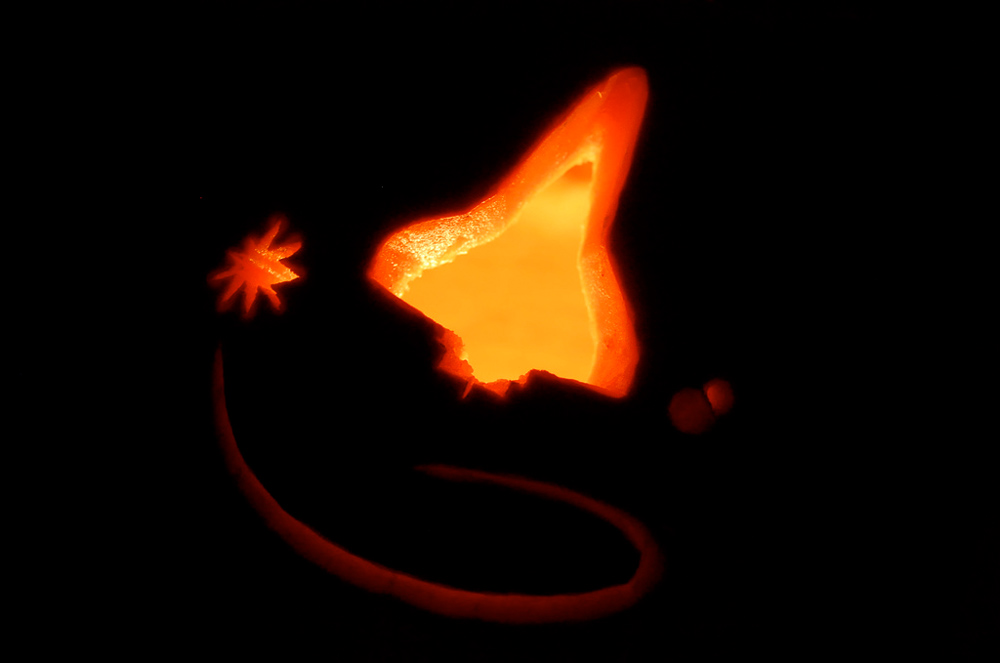 STS-120 Halloween Pumpkin