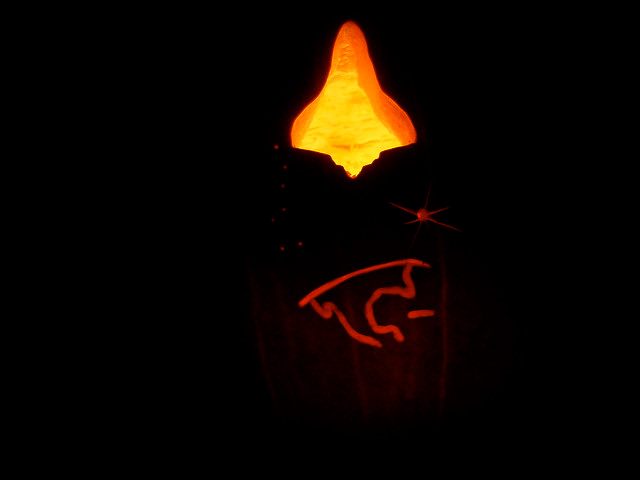 STS-126 Halloween Pumpkin
