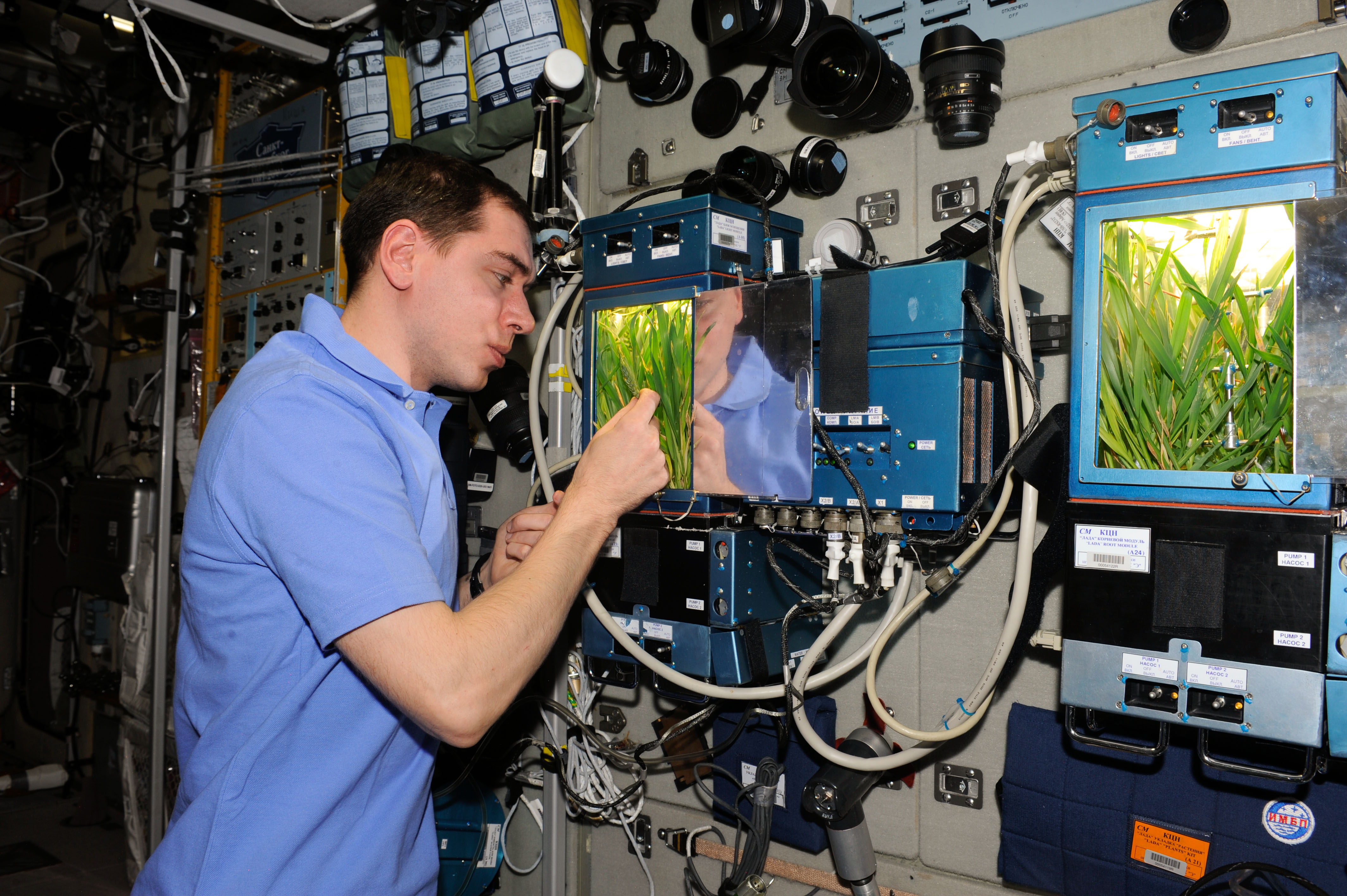 Expedition 29 Flight Engineer Monitors Growth Experiment