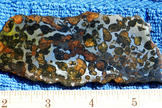 Light shines through the olivine crystals of the Conception Junction meteorite in the WUSTL geology museum. The crystals in this pallasite are smaller than usual, so the stone must be sliced very thin before the crystals penetrate its width and become translucent.