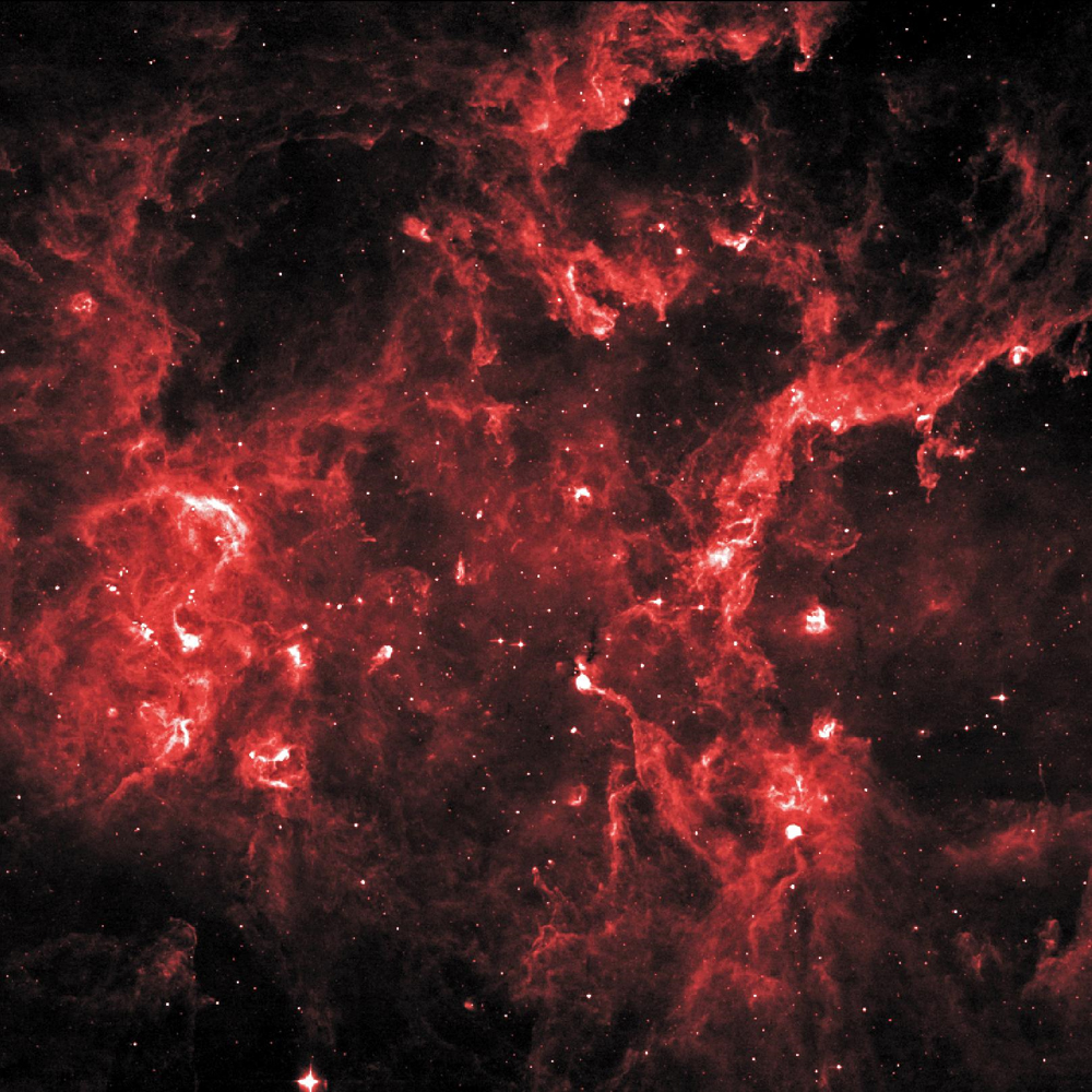 Bright Lights, Big Cygnus X