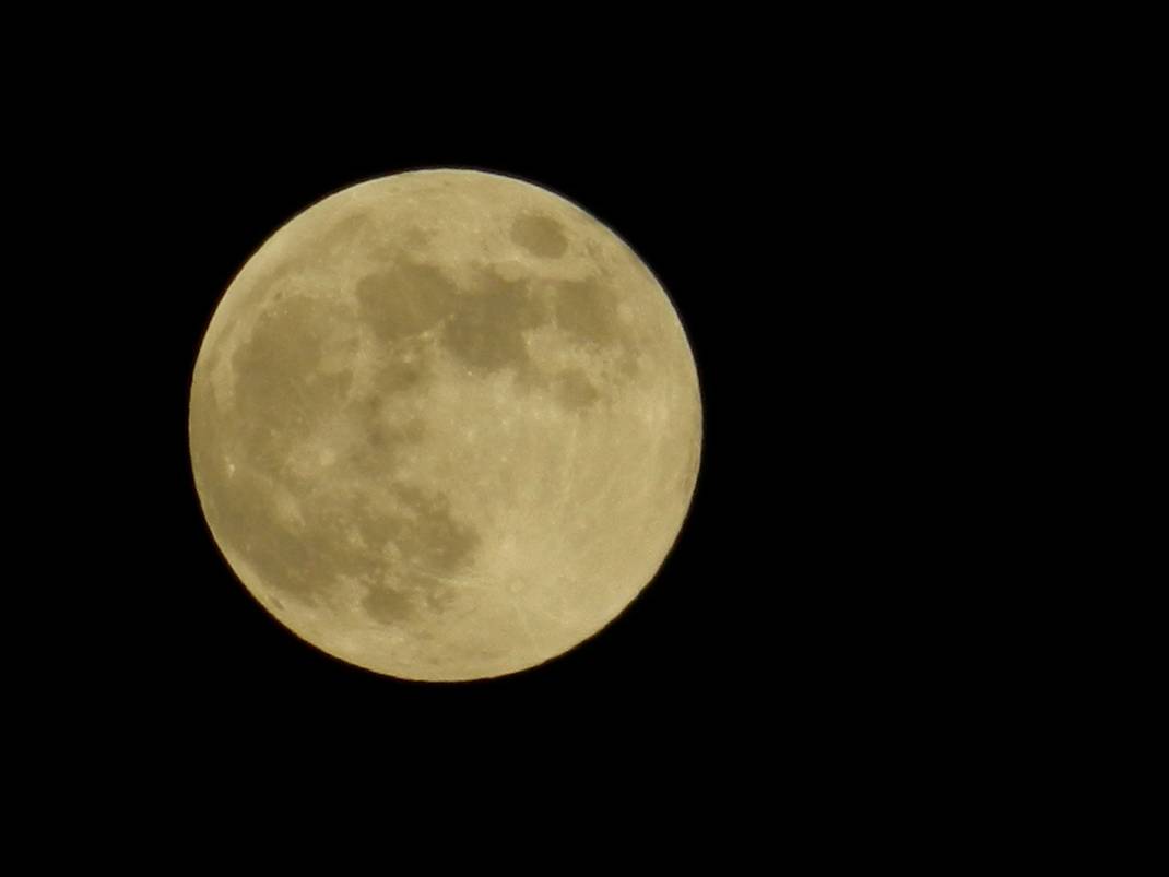 Lunar Eclipse Dec. 10 - Jeffrey Lee