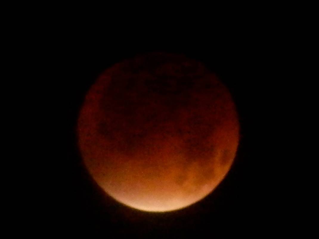Lunar Eclipse Dec. 10 - Jeffrey Lee