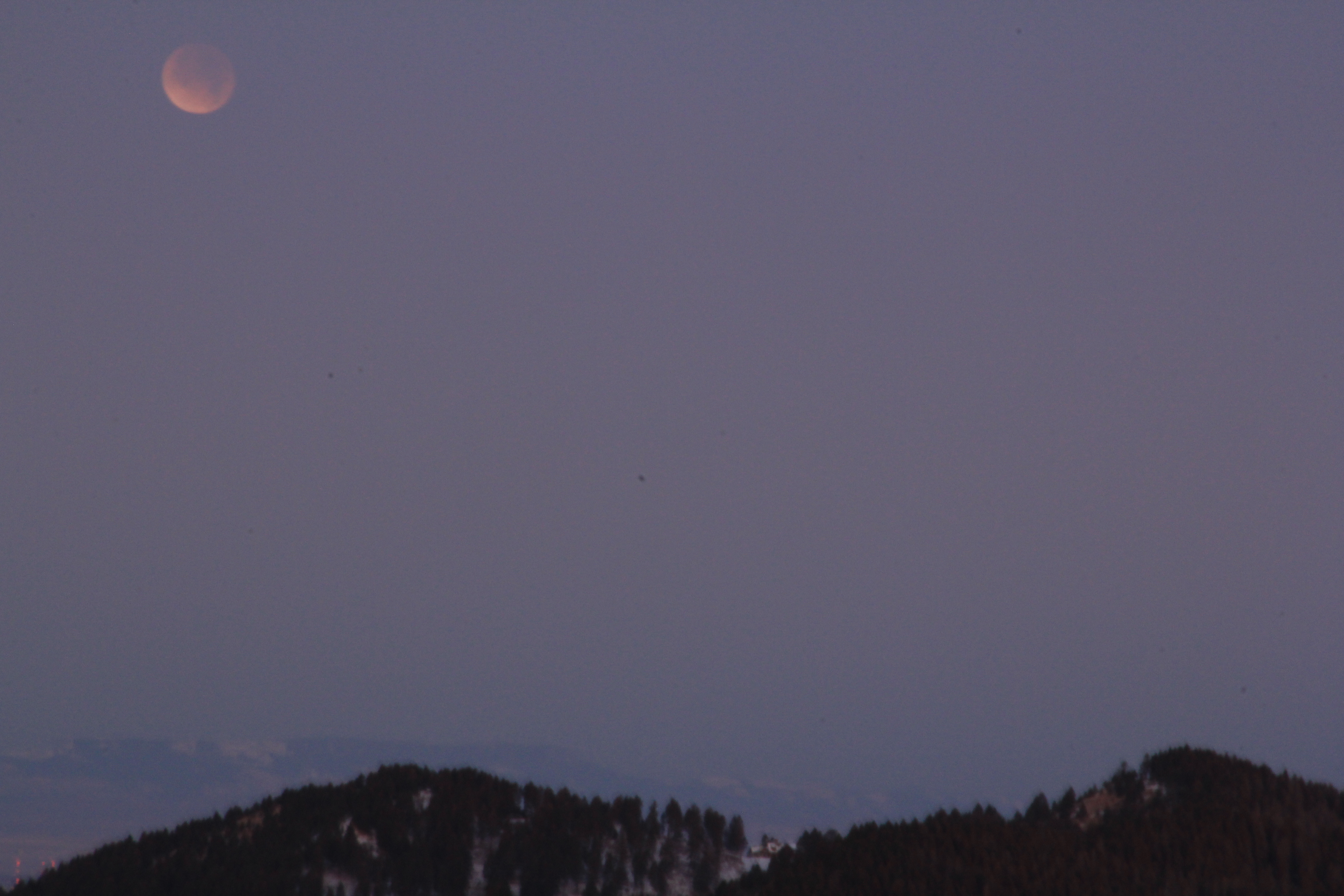 Lunar Eclipse Dec. 10 - Tony DiBerardinis